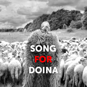 Album Song for Doina from Domino（欧美）