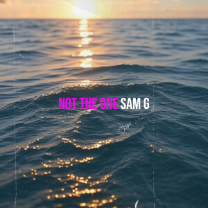 Listen to Not the One song with lyrics from Sam G