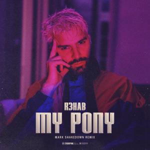 Listen to My Pony (Mark Shakedown Remix) song with lyrics from R3hab