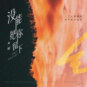收聽大毅DY的沒能把你留下歌詞歌曲