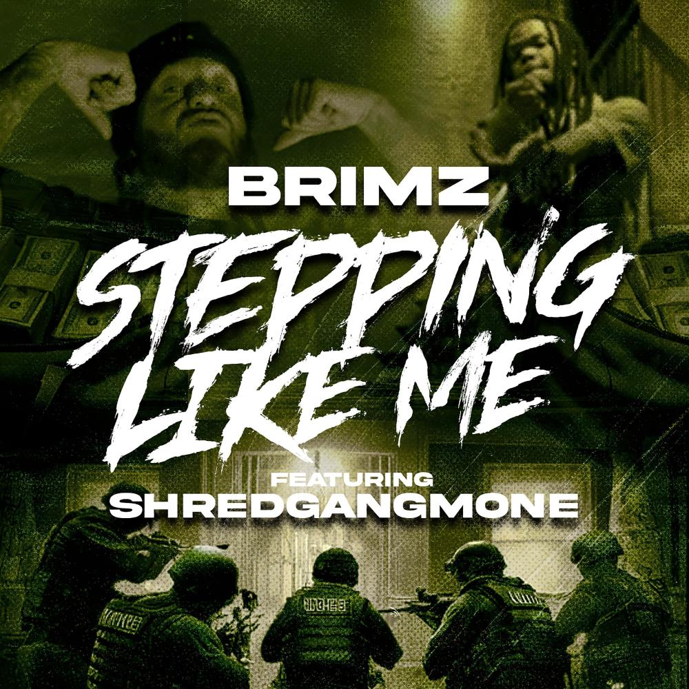 Steppin Like Me (feat. Shredgang Mone) (Explicit)