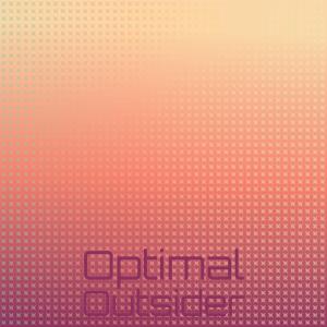 Various Artists的專輯Optimal Outsider