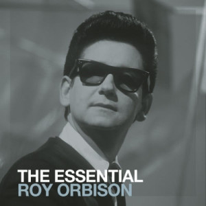 收聽Roy Orbison的You Got It (Album Version)歌詞歌曲