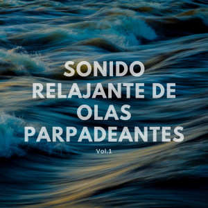 Album Sonido relajante de olas parpadeantes Vol.1 oleh Arena de olas