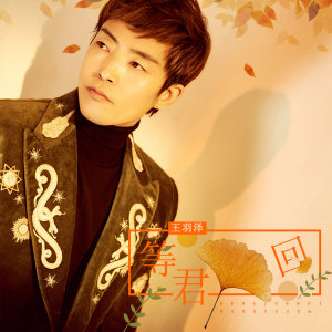 Listen to 等君回 song with lyrics from 王羽泽