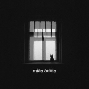 Album miao addio from 