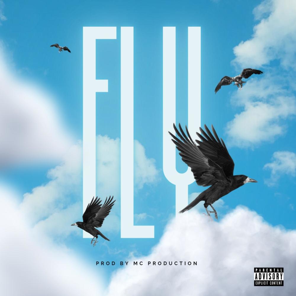fly