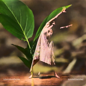 Listen to Uncontrollable song with lyrics from Tunnelmental