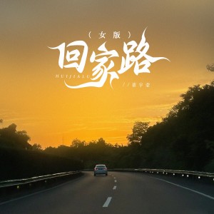 收聽崔宇瑩的回家路 (女版)歌詞歌曲