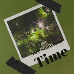 Album Nice Snowman Time from Various