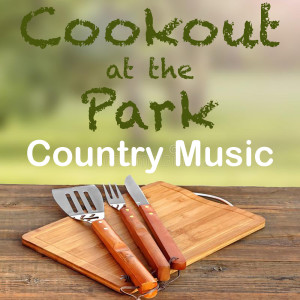 Various Artists的專輯Cookout at the Park Country Music