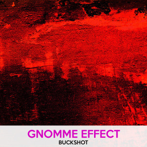 Album Buckshot from Gnomme Effect