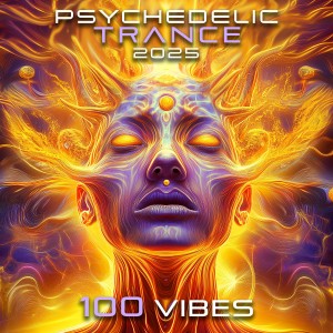 อัลบัม Psychedelic Trance 2025 100 Vibes ศิลปิน Psytrance