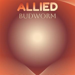 Various的专辑Allied Budworm