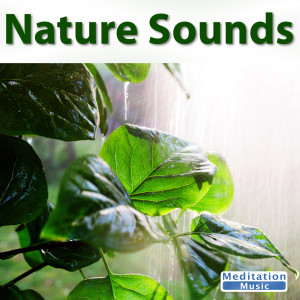 收听Sounds Of Nature的Stream Sounds歌词歌曲