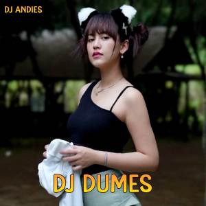 收听DJ Andies的DJ Dumes Slow歌词歌曲