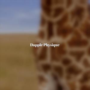 Album Dapple Physique from 