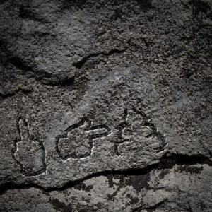Album fuc dat shit (Explicit) from 