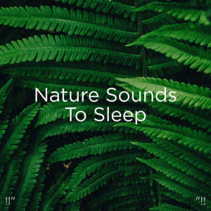 Listen to Relaxing River Sounds song with lyrics from Sleep Sounds of Nature