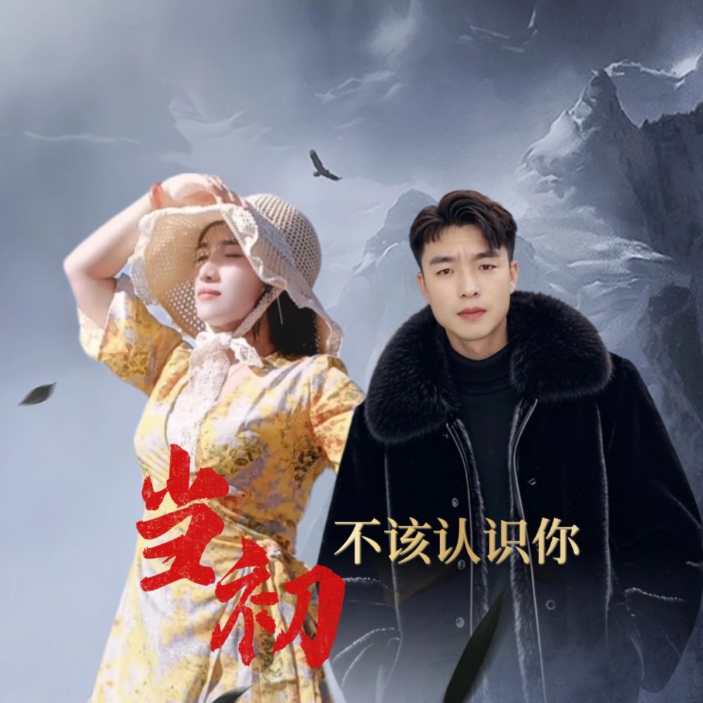 当初不该爱上你（琴琴版） (完整版)