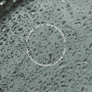 Weather and Nature Recordings的专辑Relaxing Raindrops for the Mind