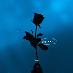 Listen to Не жди song with lyrics from Tanel