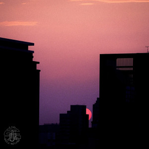 Album Highrise from Lotus Beats
