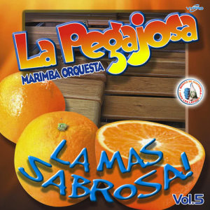 收聽Marimba Orquesta La Pegajosa的Mix Pegajoso 9: Fiesta / Masa Masa / Caracol / El Dinero y la Mujer歌詞歌曲
