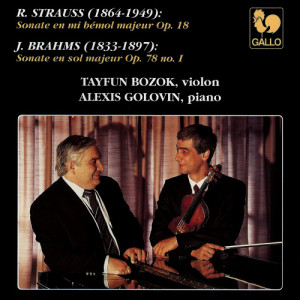 ดาวน์โหลดและฟังเพลง Violin Sonata No. 1 in G Major, Op. 78: II. Adagio พร้อมเนื้อเพลงจาก Tayfun Bozok