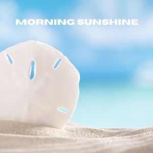 อัลบัม Morning Sunshine ศิลปิน The White Noise Zen & Meditation Sound Lab