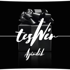 Listen to AJÁNDÉK song with lyrics from TESWÉR