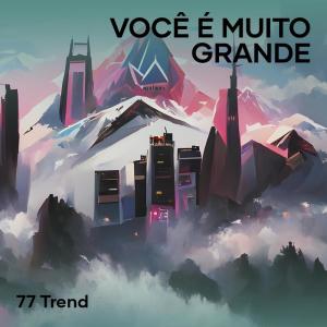 Listen to Você É Muito Grande song with lyrics from 77 Trend