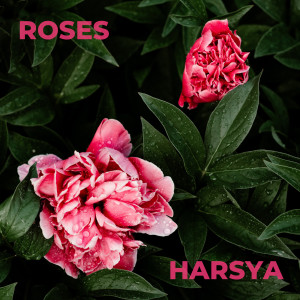 收聽HARSYA的Roses歌詞歌曲