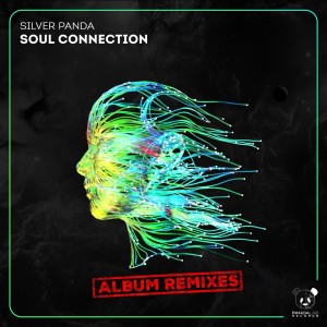 收聽Silver Panda的Soul Connection (Low Foam Remix)歌詞歌曲