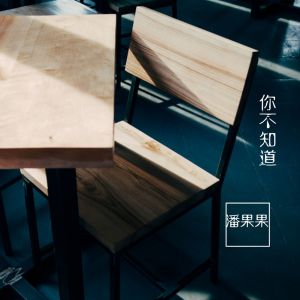 Listen to 你不知道 (伴奏) song with lyrics from 潘果果