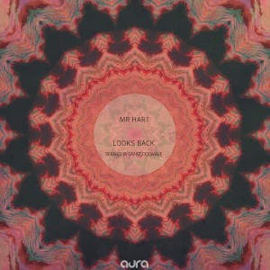 Listen to Looks Back (Oddwave Remix) song with lyrics from Mr Hart