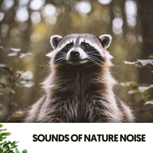 Work Music的專輯Sounds of Nature Noise: Serenity Waves