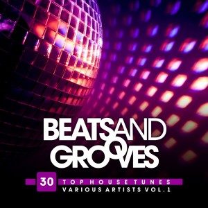 Album Beats and Grooves (30 Top House Tunes), Vol. 1 oleh Various Artists