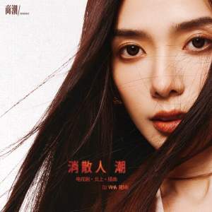 Dengarkan lagu 消散人潮 (DJ Yaha Remix) nyanyian 商潮 dengan lirik