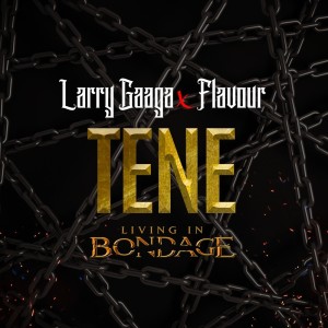 Album Tene: Living In Bondage from Larry Gaaga