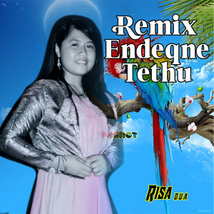 Dengarkan Remix ENDEQNE TETHU lagu dari Risa D.U.A dengan lirik