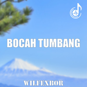 Listen to Bocah Tumbang song with lyrics from Wilfexbor