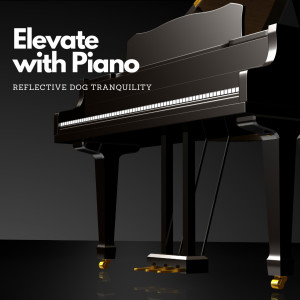 Elevate with Piano: Reflective Dog Tranquility