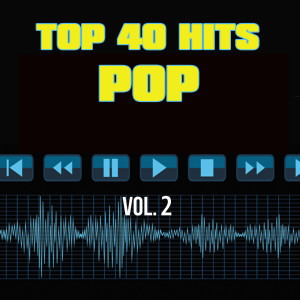 Top 40 Pop Hits的專輯40 Pop Hits Vol. 2