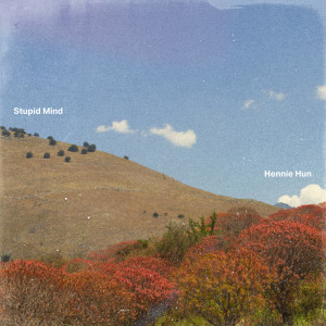 ดาวน์โหลดและฟังเพลง Stupid Mind พร้อมเนื้อเพลงจาก Hennie Hun
