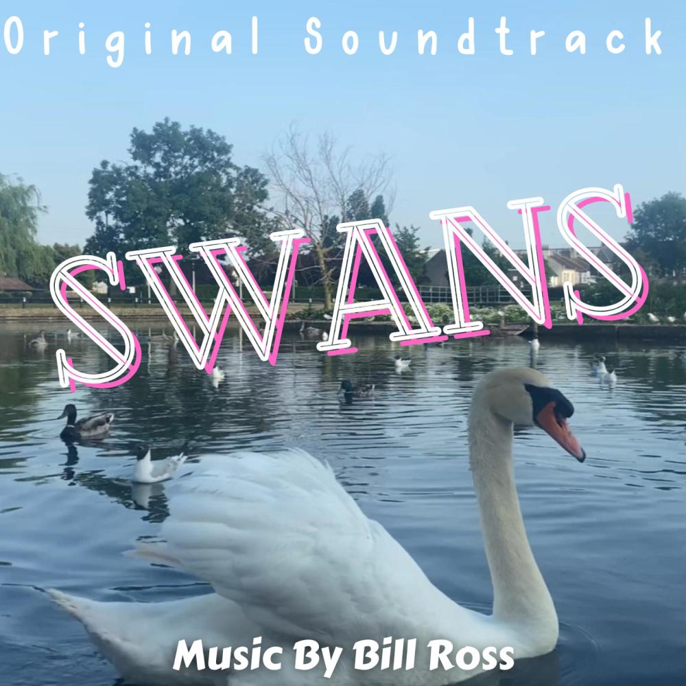 Swans (VII)