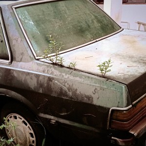 sfeerbeer的专辑Trunk in the Junk