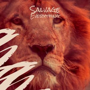 Album Salvage Everything from Various