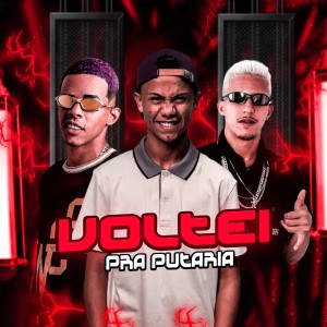Album Voltei Pra Putaria (Explicit) from 
