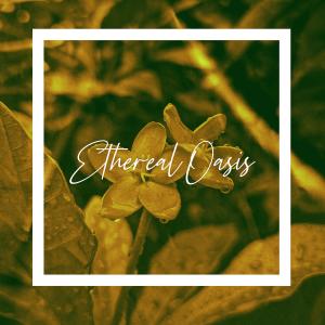 Listen to Ethereal Oasis song with lyrics from Morning Dan
